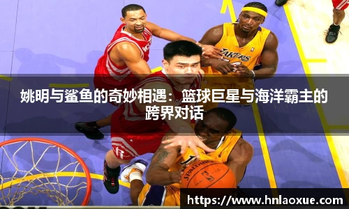 球速体育
