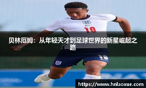 球速体育平台入口