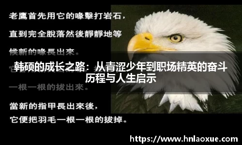 球速体育welcome